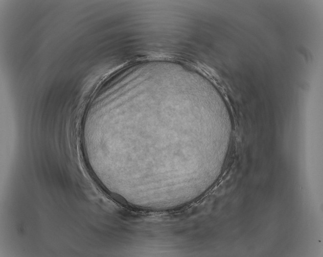 X0000112410097200909110958