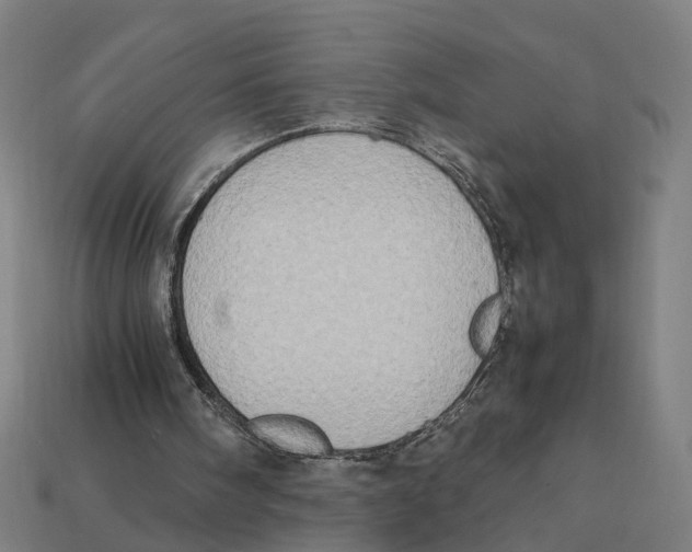 X0000112410098200909110958
