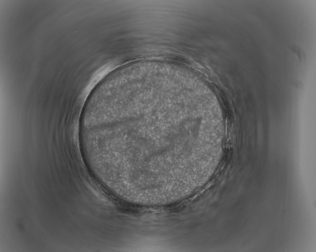 X0000112410099200909110958