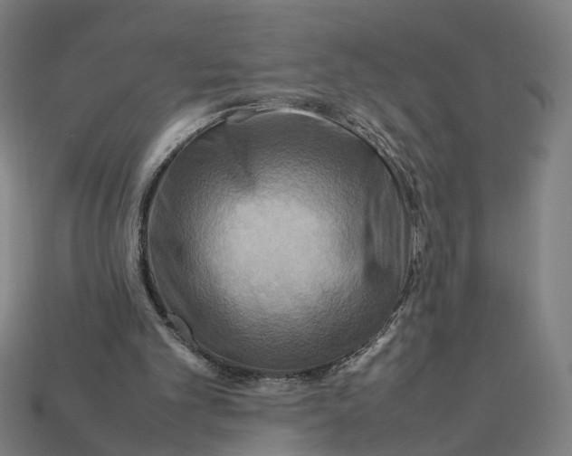 X0000112410101200909110958