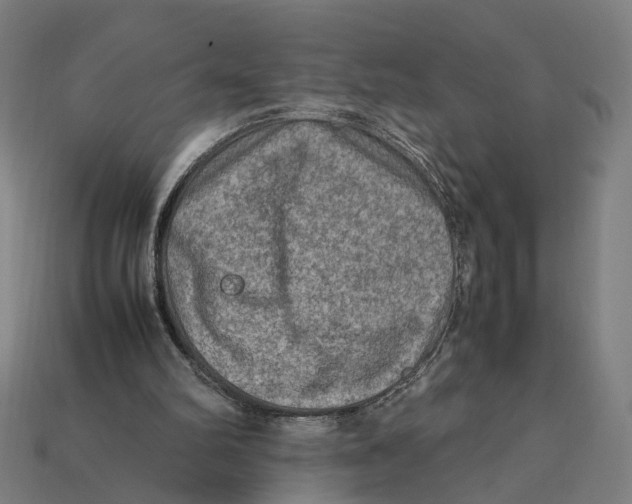 X0000112410102200909110958