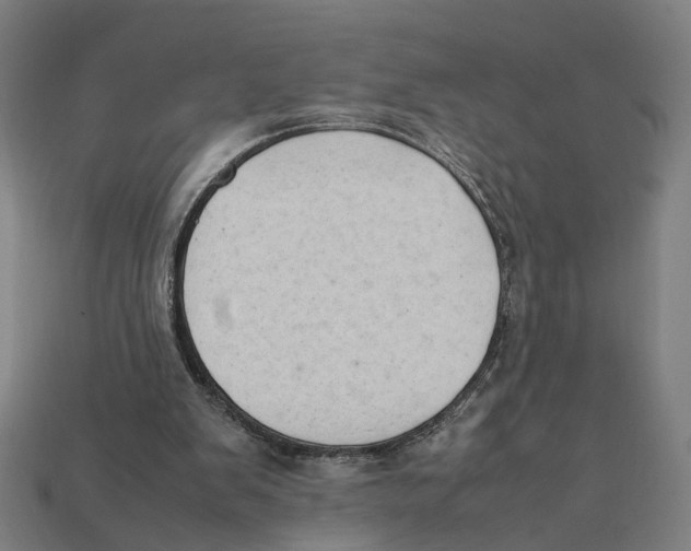 X0000112410103200909110958