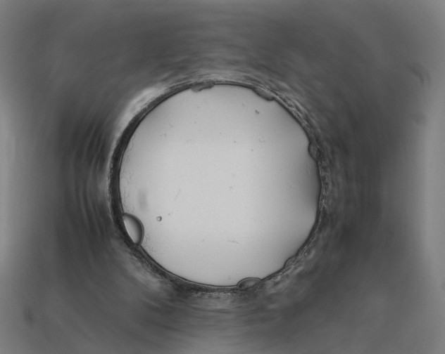 X0000112410104200909110958