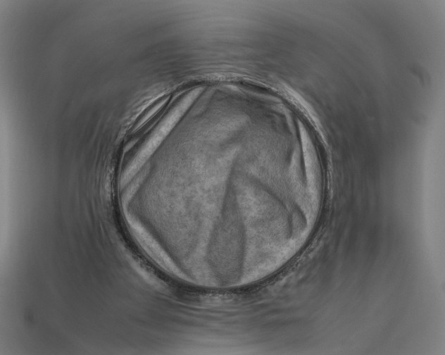 X0000112410105200909110958