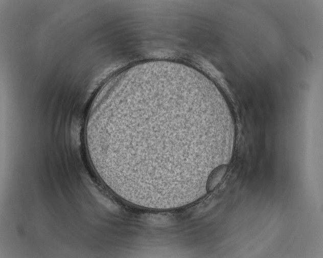 X0000112410106200909110958