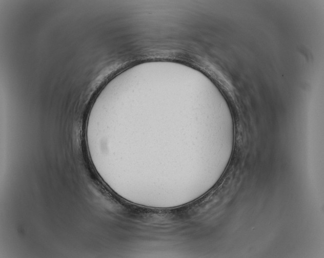 X0000112410107200909110958