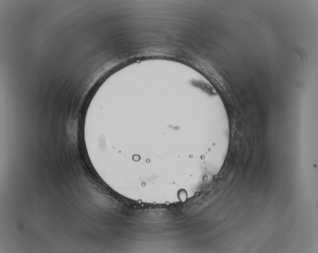 X0000112410108200909110958