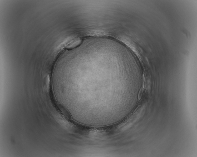 X0000112410109200909110958