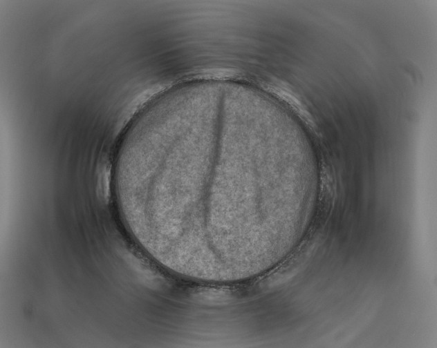 X0000112410110200909110958
