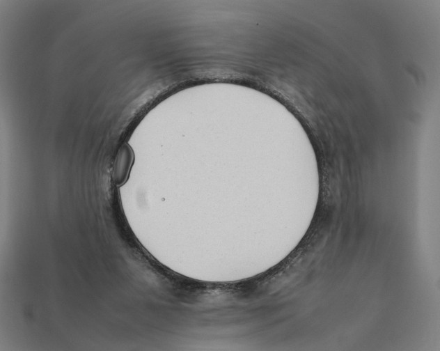 X0000112410111200909110958