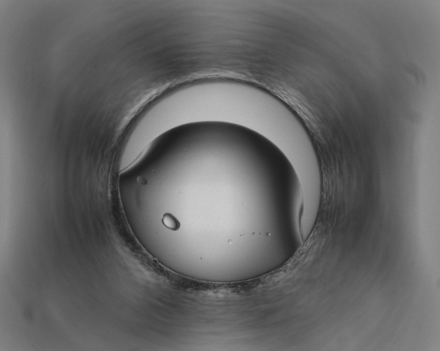 X0000112410112200909110958