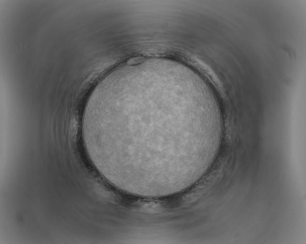 X0000112410113200909110958