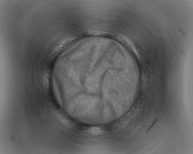 X0000112410114200909110958