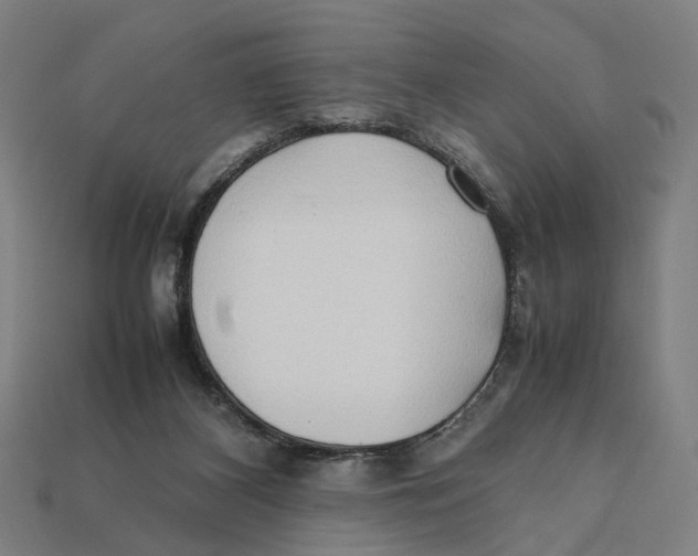 X0000112410116200909110958