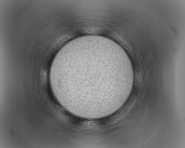 X0000112410117200909110958