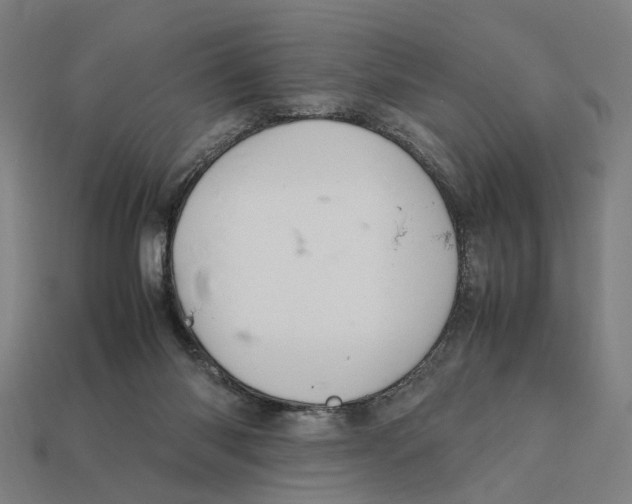 X0000112410118200909110958