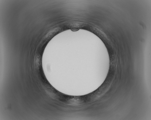 X0000112410119200909110958