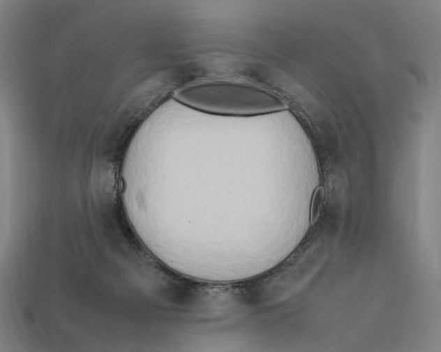 X0000112410121200909110958