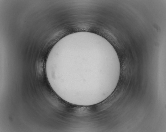 X0000112410122200909110958