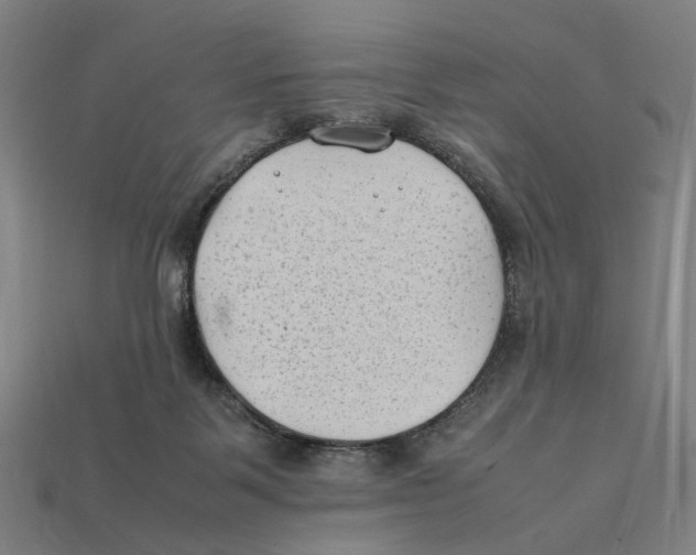 X0000112410123200909110958