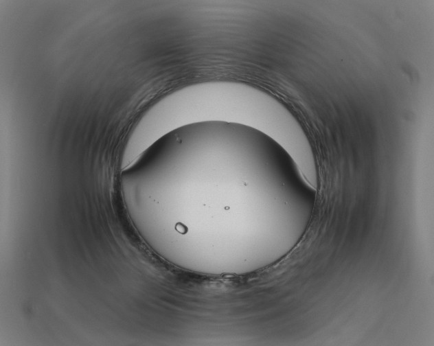 X0000112410124200909110958