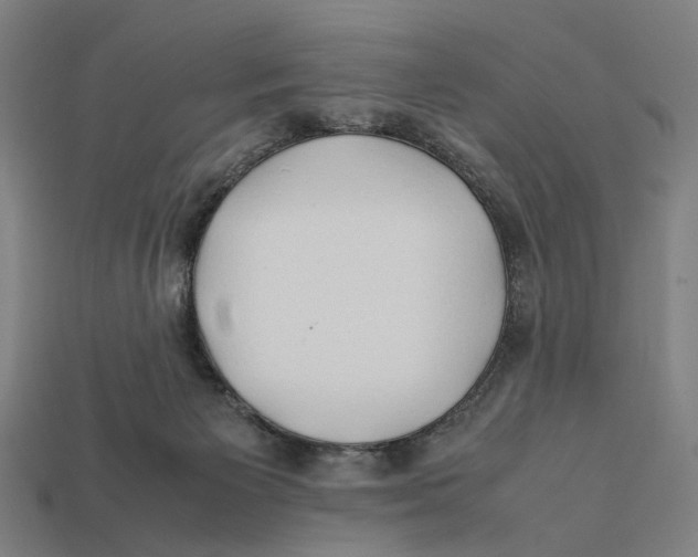 X0000112410125200909110958
