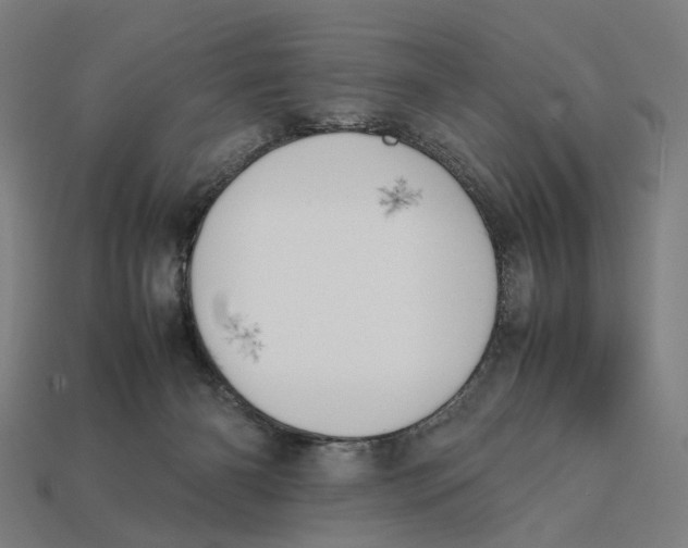 X0000112410126200909110958