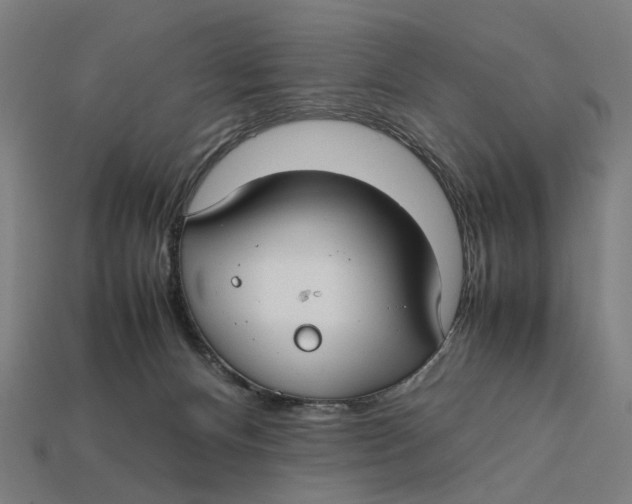 X0000112410128200909110958