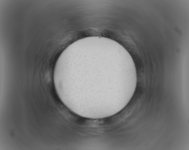 X0000112410131200909110958