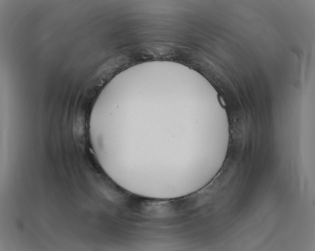 X0000112410132200909110958