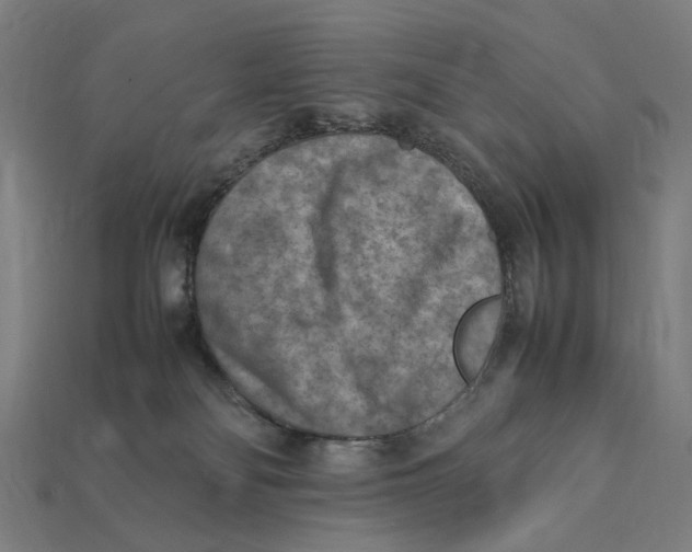 X0000112410134200909110958