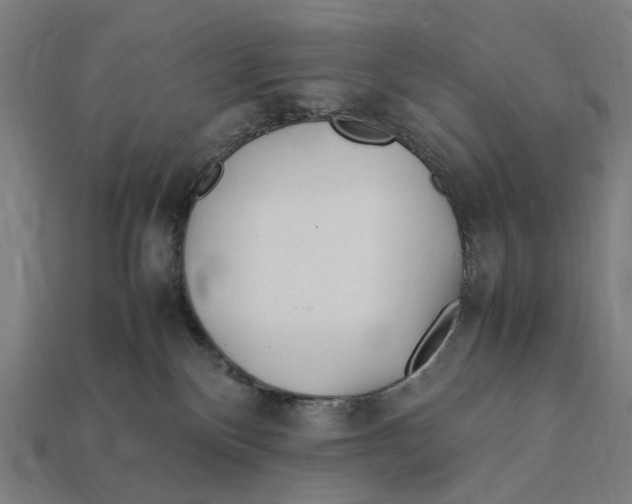 X0000112410136200909110958
