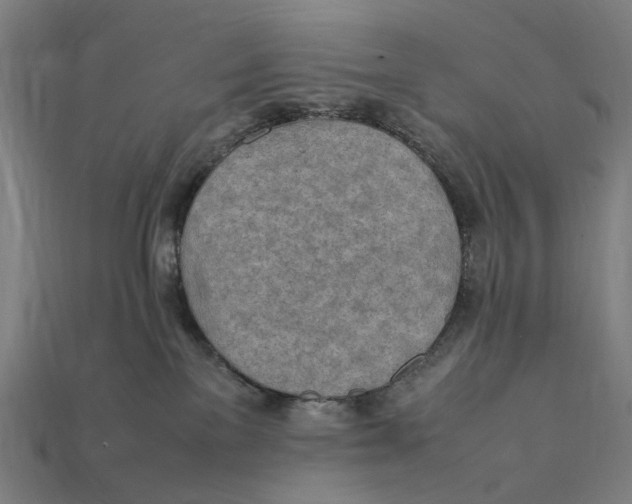 X0000112410137200909110958