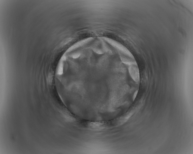X0000112410139200909110957