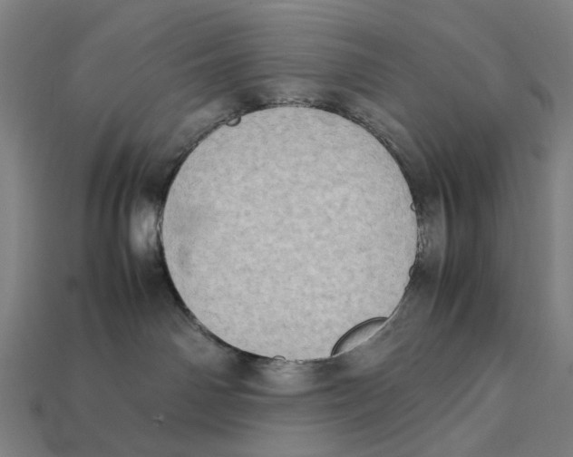 X0000112410142200909110957