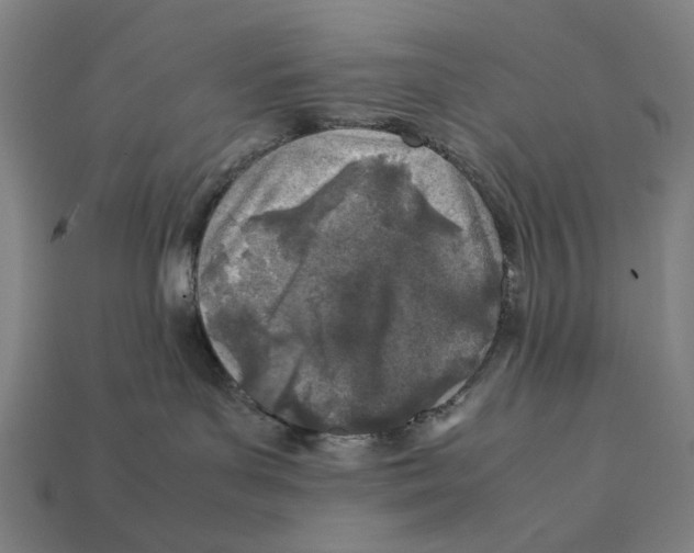 X0000112410143200909110957