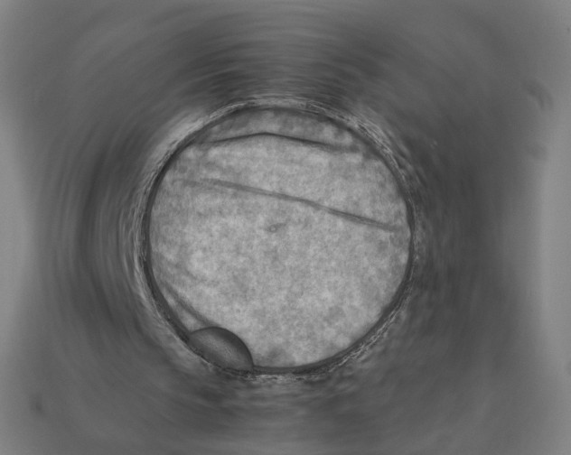 X0000112410145200909110957