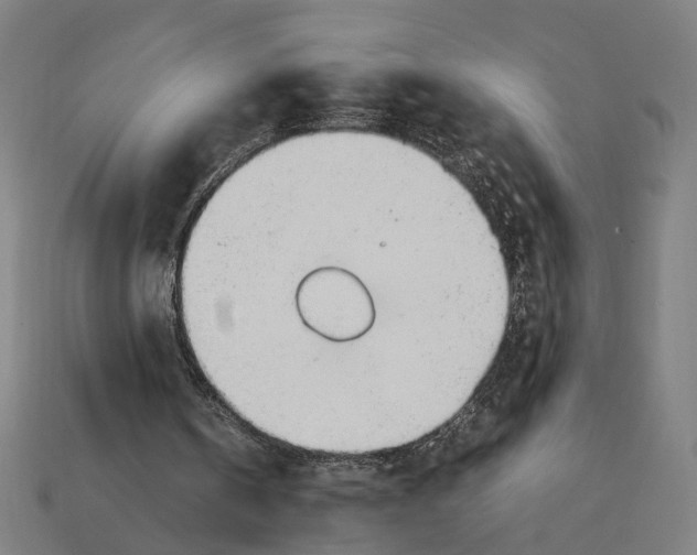 X0000112410146200909110957