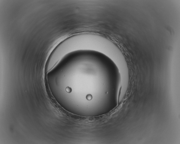 X0000112410148200909110957