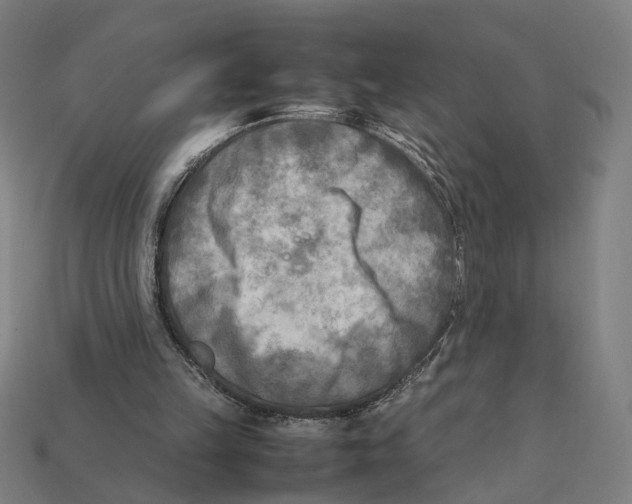 X0000112410149200909110957
