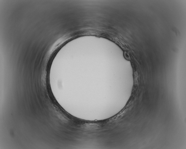 X0000112410150200909110957