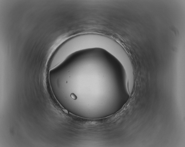 X0000112410152200909110957