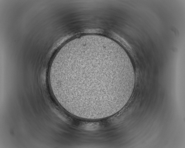 X0000112410155200909110957
