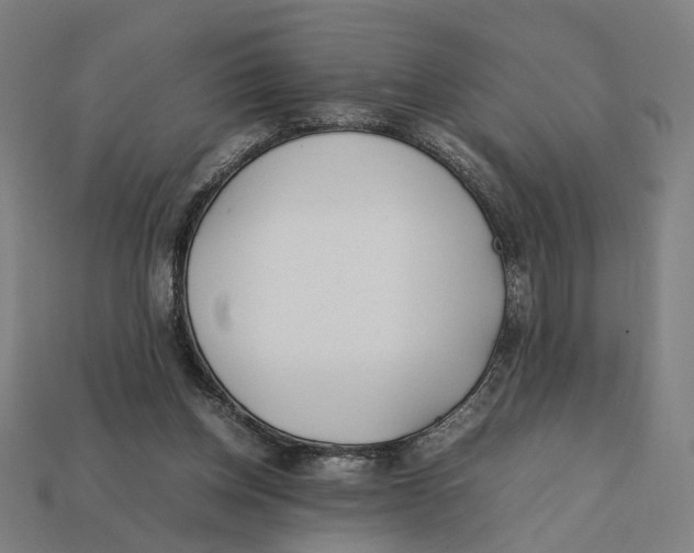 X0000112410158200909110957
