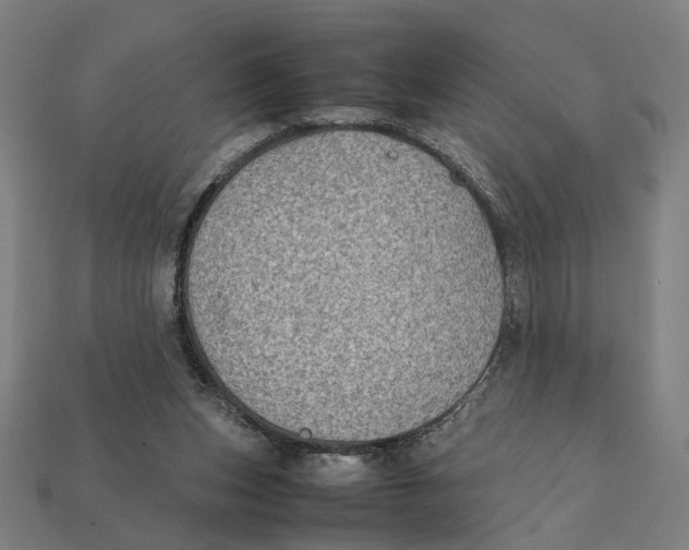 X0000112410159200909110957