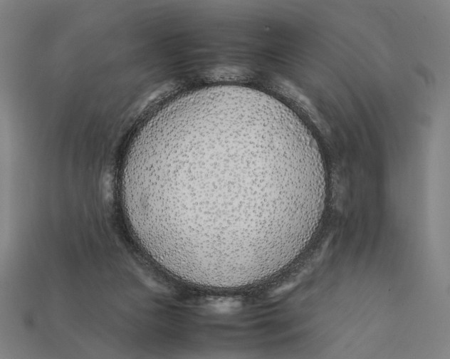 X0000112410161200909110957