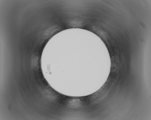 X0000112410162200909110957