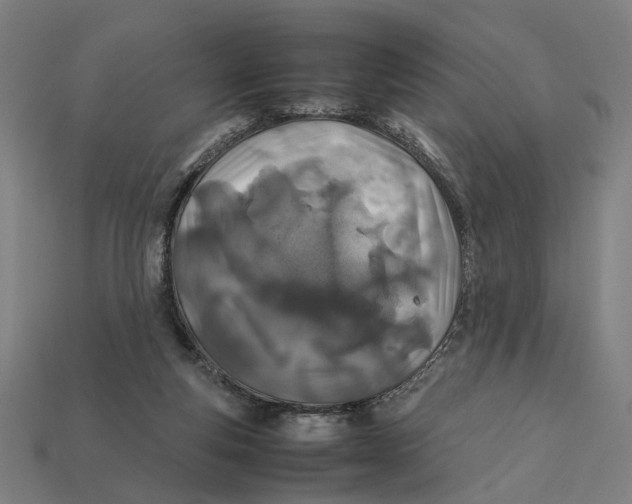 X0000112410163200909110957