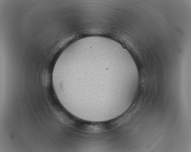 X0000112410164200909110957