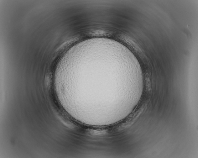 X0000112410165200909110957